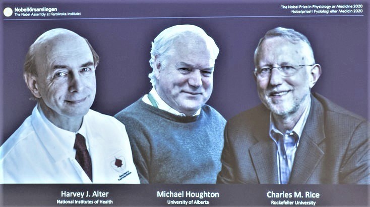 Objevitelé viru žloutenky C získali nobelovku za lékařství