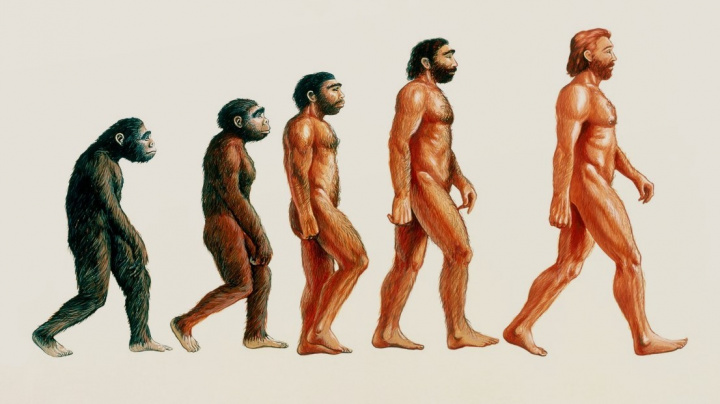 Evoluce dělá v našich tělech podivnou věc