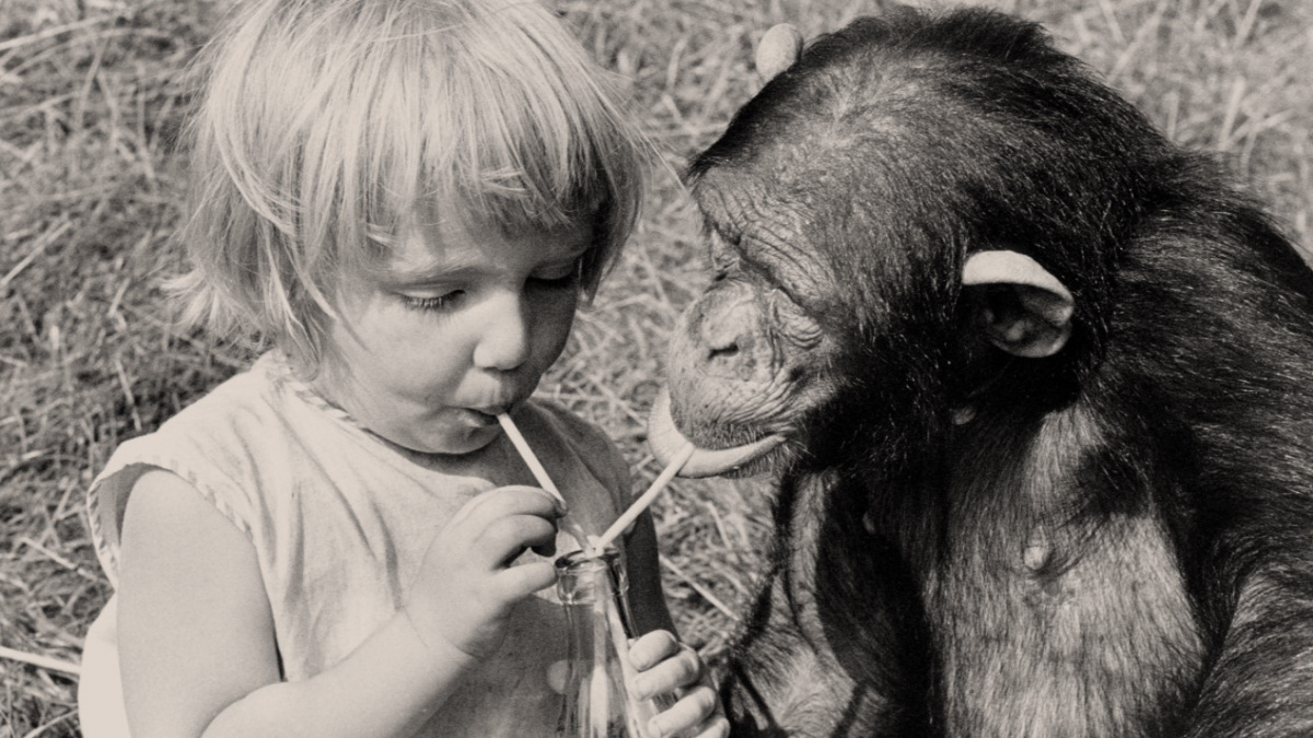 Když se dělíte o bohatství, máte šanci žít déle