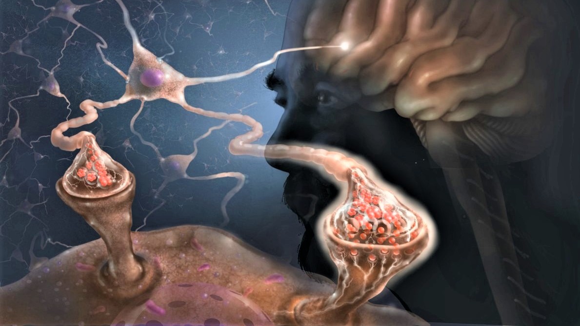 Pacienti, kteří prodělali covid-19, trpí výpadky paměti