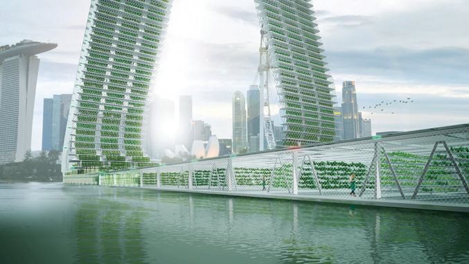 Farmy se budou zvedat k obloze. Uživí města?