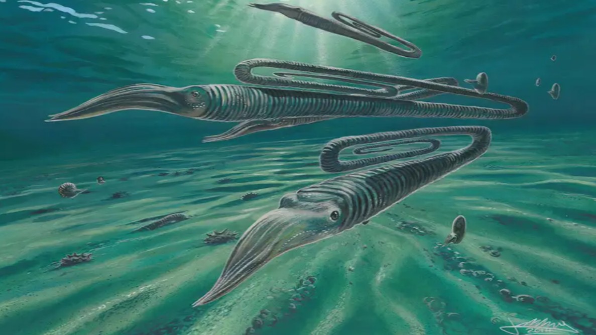 Bizarní tvor, který vypadal jak kancelářská sponka, žil až 200 let