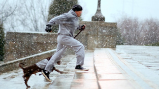 Nemusíte si dávat koňské dávky jako Rocky, ani mlátit do syrového masa. Stačí půlhodinka běhu, anebo jen rychlé chůze.