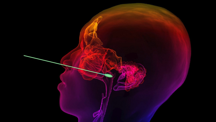 Když testujete rychleji a víc, covid utlumíte, upozorňuje studie Harvardu