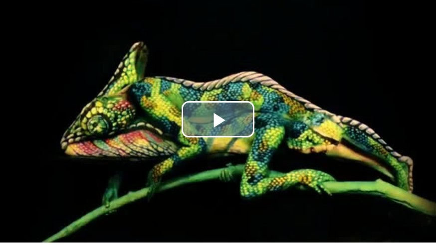 Nevěřte svým očím. Tohle není chameleon, ale úchvatná iluze