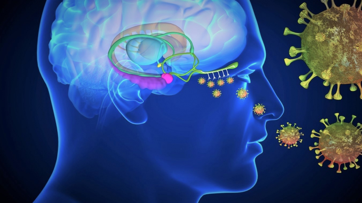 Koronavirus je zákeřný, z nosu může napadnout váš mozek