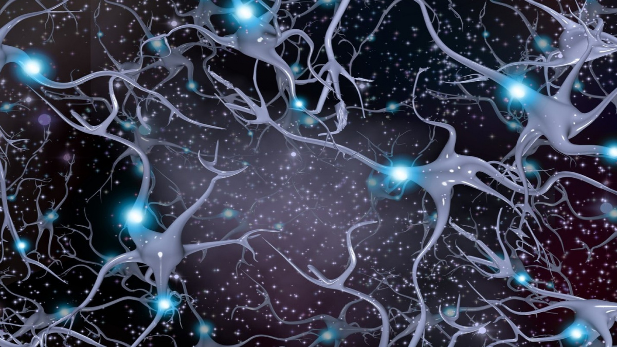 Lidský mozek je uspořádán jako vesmír. Podobnost čistě náhodná?