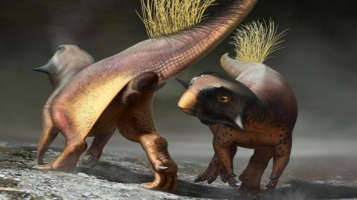 Konečně víme, jak vypadal zadek dinosaurů. Vědci ho zevrubně prozkoumali