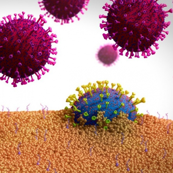 Genetici nalezli koronavirus s koktejlem obávaných mutací