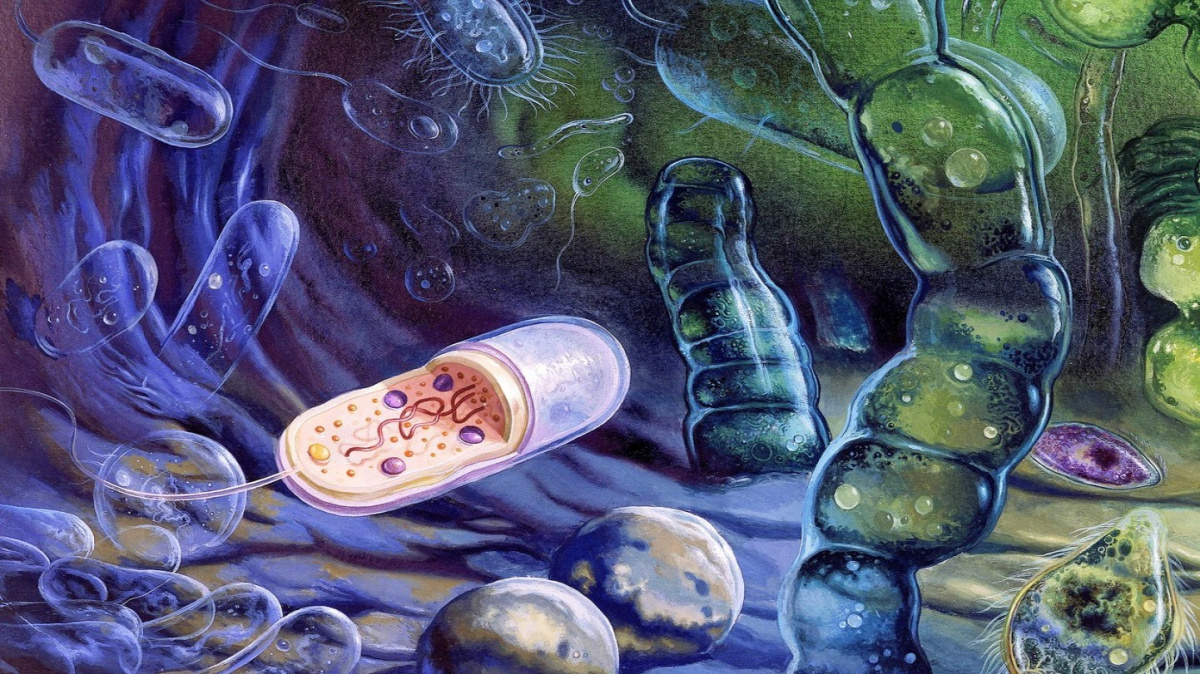 I bakterie hrají mrtvé, aby přežily. Zvyšuje to šanci na nalezení života ve vesmíru