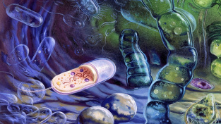 Ilustrace, rané formy života z doby proterozoické (před 2,5 miliony let). Vidíte na něm jednobuněčné bakterie, které předcházely řasám, houbám, a prvokům. Jedna z bakterií je zobrazena v řezu.