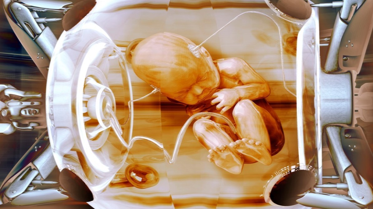 Myší zárodek rostl v umělé děloze. Jednou ho bude následovat lidské embryo