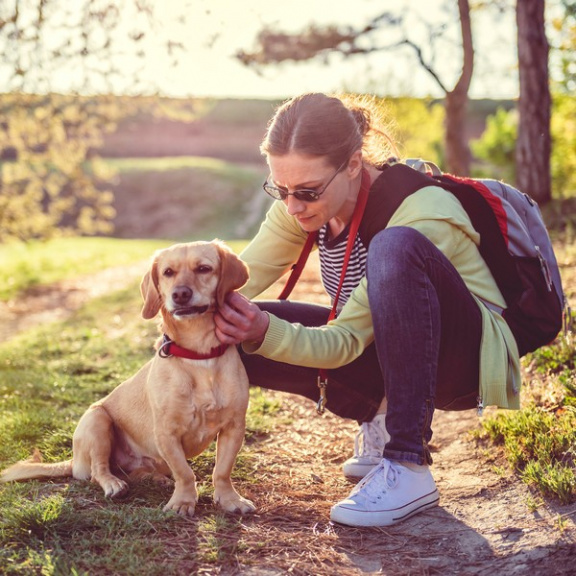 Jak vybrat antiparazitika na blechy a klíšťata