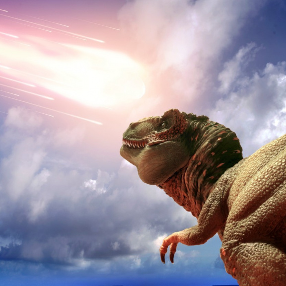 Asteroid, který vyhubil dinosaury, dal vzniknout amazonskému pralesu