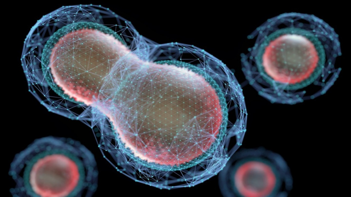 Vědci vytvořili ‚umělý život‘, který se začal množit