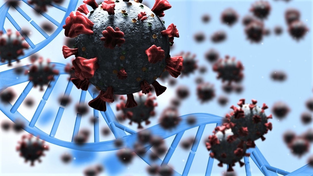 Koronaviry zaútočily na člověka už před 25 tisíci lety. Důkaz nalezen v genech