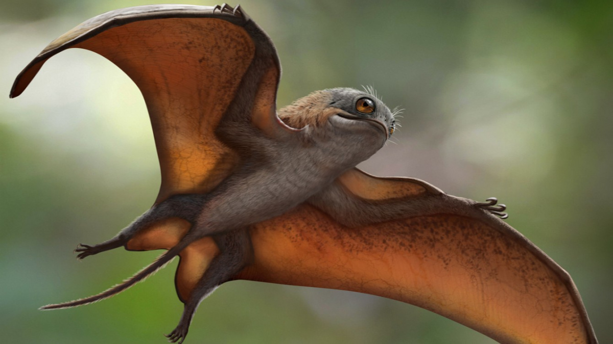 Existenci tohoto ptakoještěra předpověděli tvůrci Star Wars
