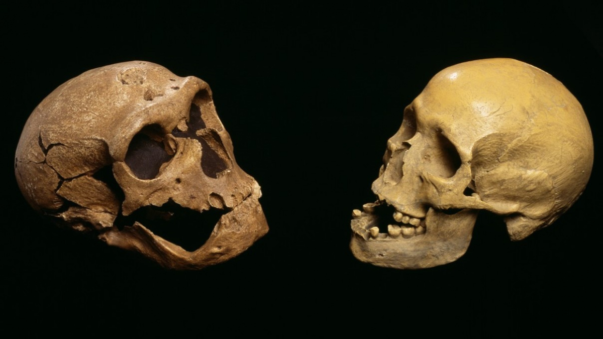 Naši předkové ‚převálcovali‘ neandrtálce, protože byli kreativnější