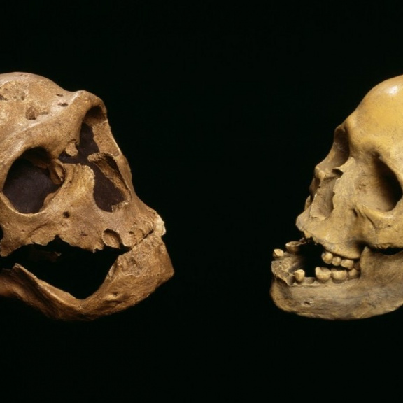 Naši předkové ‚převálcovali‘ neandrtálce, protože byli kreativnější