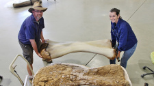 Gigant a australského outbacku