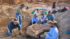 Gigant a australského outbacku