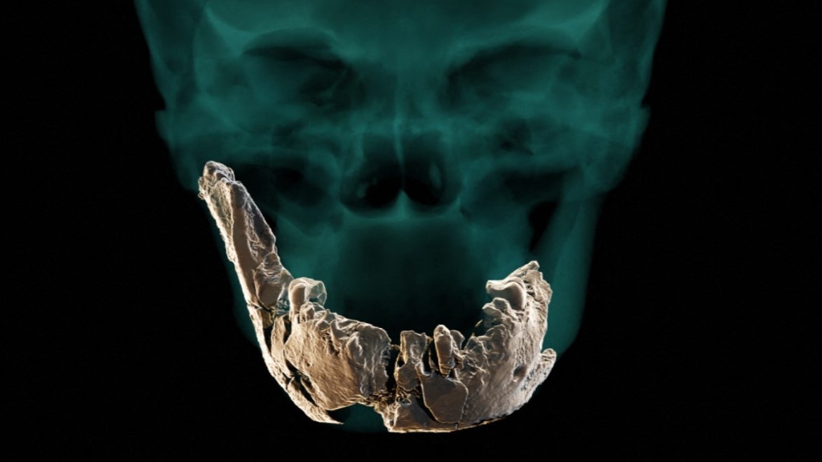 Objeven dosud neznámý druh pračlověka