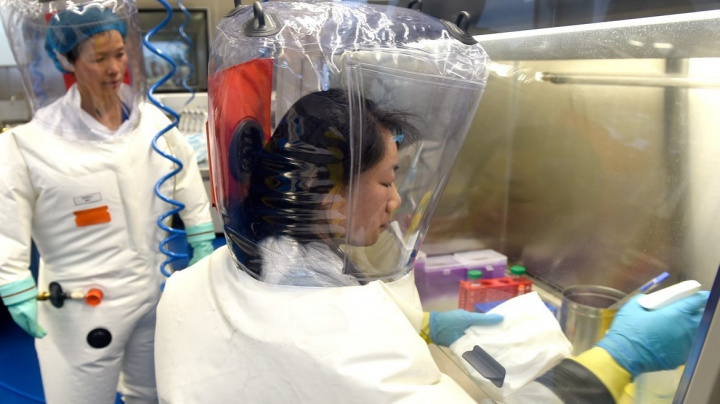 Koronavirus mohl uniknout při pokusu v laboratoři. Naznačuje to nová analýza