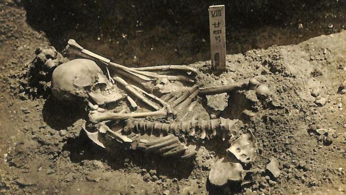 Archeologové vystopovali příběh rybáře, kterého před 3000 lety roztrhal žralok