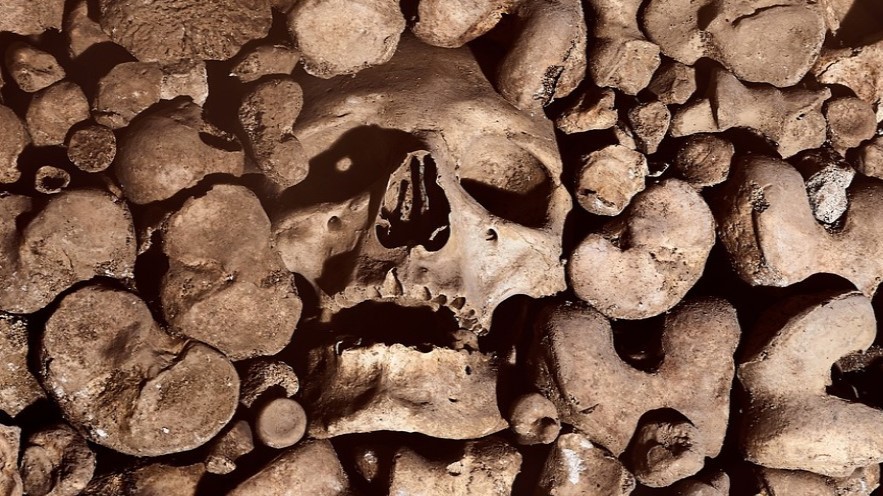Hyeny nahromadily v jeskyni statisíce kostí. Jsou mezi nimi ohlodané lidské lebky