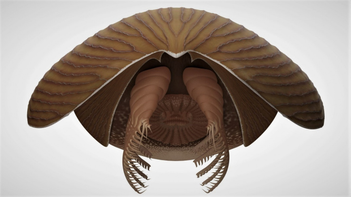 Tento titánský predátor ovládal prehistorická moře. Vědci ho popsali z fosilií