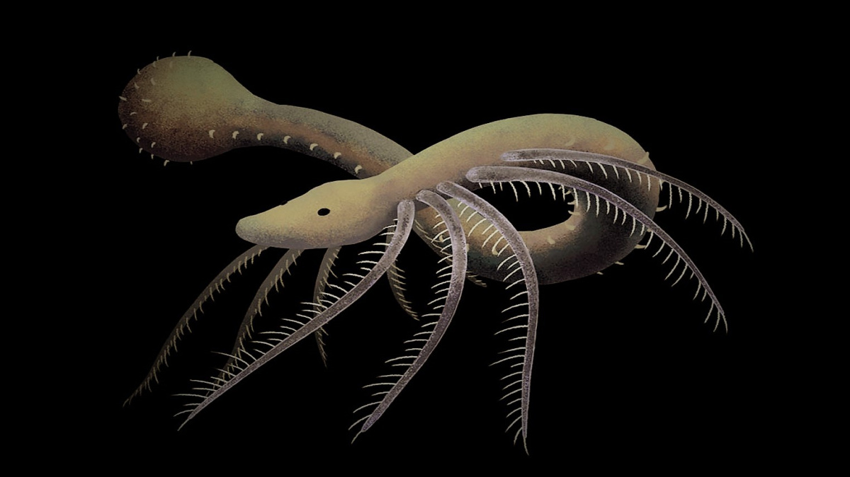 První tvor, který se vydal proti proudu evoluce