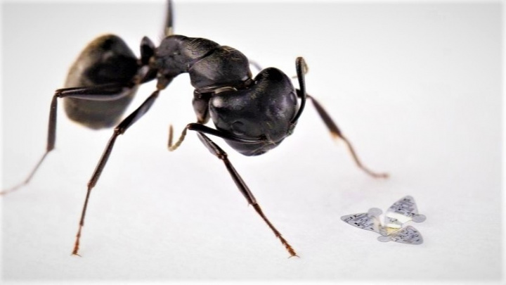 Nejmenší létající přístroj, který kdy člověk vyrobil, překonává přírodu