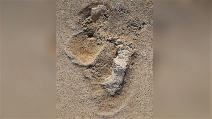 Nejstarší stopa tvora podobného člověku. Nalezli ji na Krétě