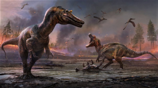 Masožravý dinosaurus z čeledi spinosauridů, který chodil po Zemi před 125 miliony let, kdy byla naše planeta na opačné straně Mléčné dráhy. Fosilizované kosti zobrazeného spinosaurida pojmenovaného Ceratosuchops inferodios, který si vysloužil přezdívku „pekelná rohatá volavka s krokodýlí tváří“, letos nalezli na ostrově Wight u jižní Anglie.