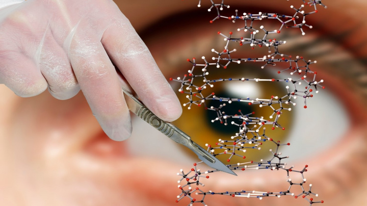 Genová terapie dokáže divy. V experimentu vrátila pacientům zrak