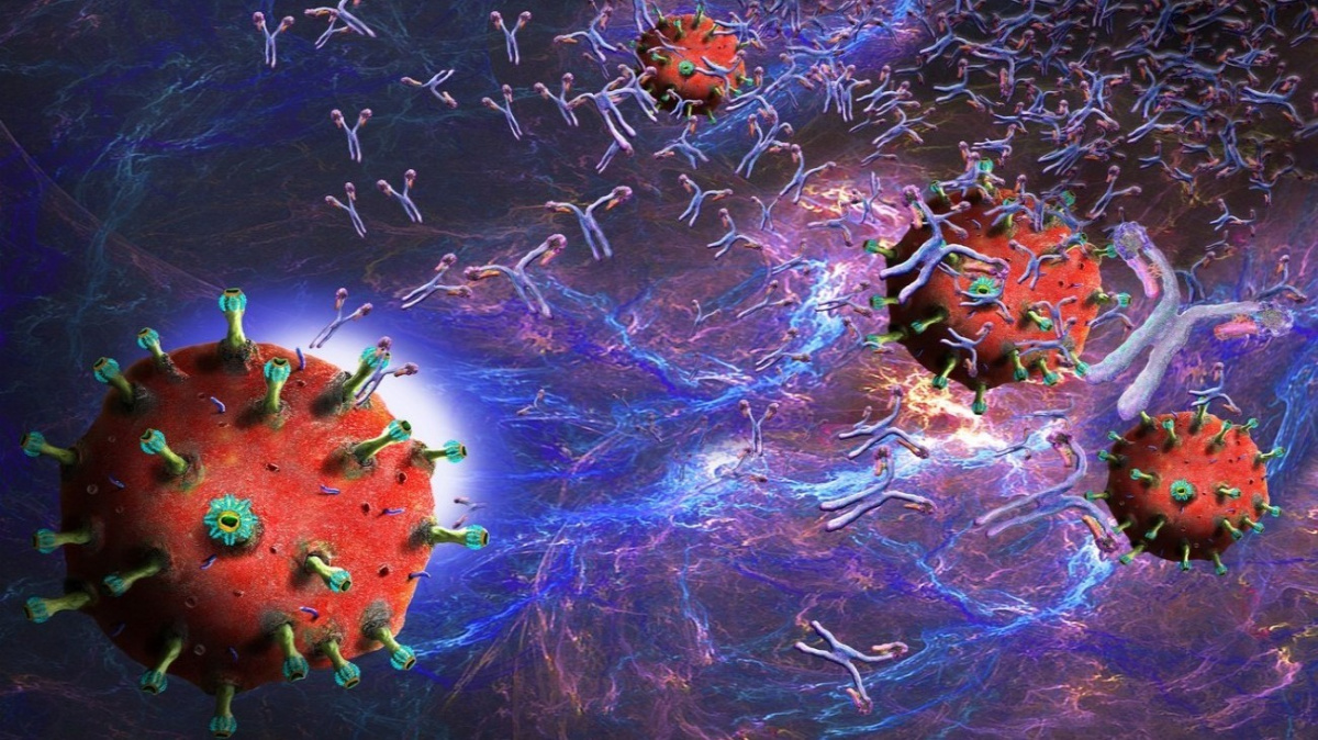 Po prodělaném covidu vydrží protilátky nejméně 10 měsíců