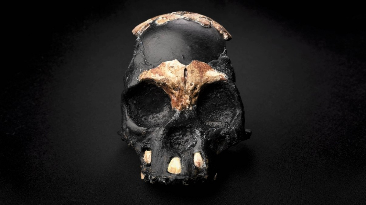 Jeskyně vydala lebku dítěte z kmene dávných předchůdců lidí