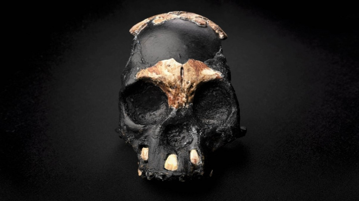 Jeskyně vydala lebku dítěte z kmene dávných předchůdců lidí