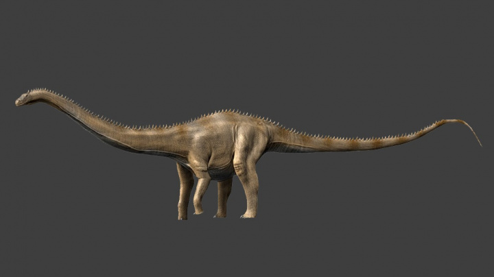 Nejdelší dinosaurus, jaký chodil po Zemi. Jeho rozměry potvrdila analýza kostí