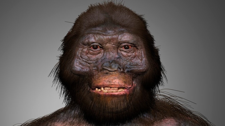 Šplhal jako opice, ale chodil už jako člověk. Byl to náš předek!