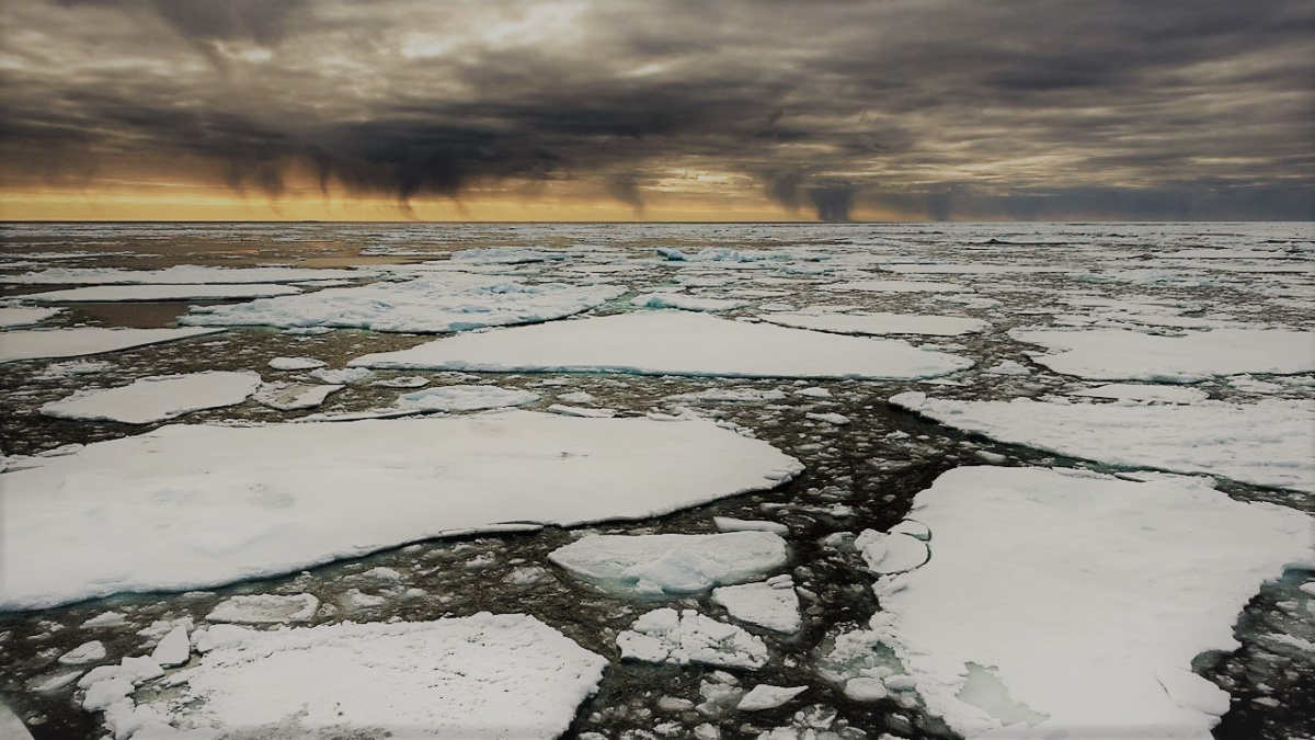 Déšť bude v Arktidě padat častěji než sníh. A dožijí se toho už mileniálové!