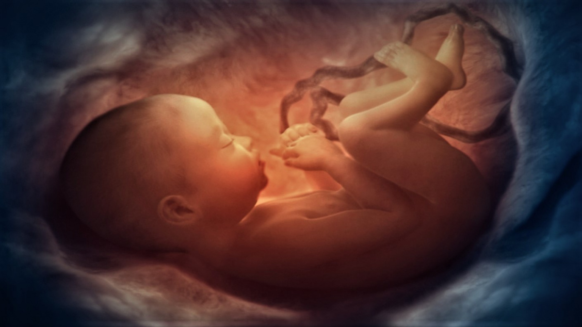 Koronavirus proniká do placenty a může usmrtit nenarozené dítě