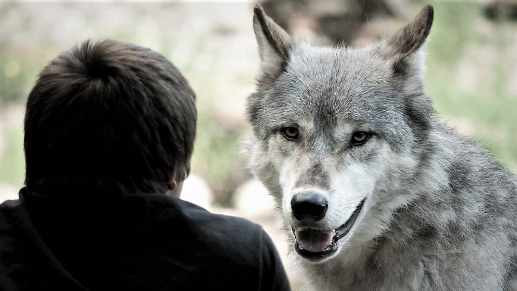 Stojí lidé jako ‚superpredátoři‘ na vrcholu potravního řetězce?