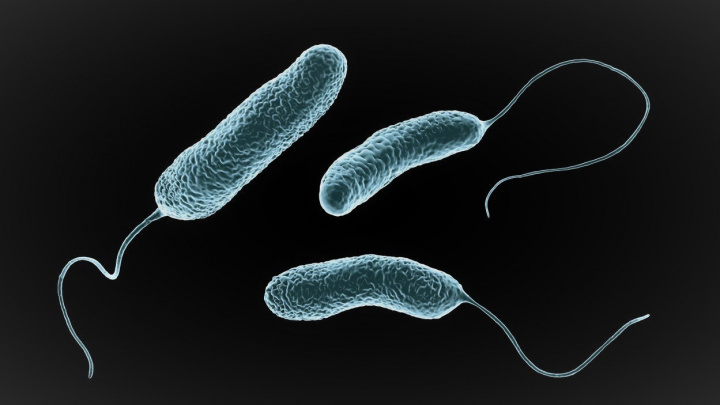 Úchvatná evoluce: Mikroby se vyvíjejí, aby dokázaly požírat plasty