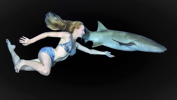 Příští útok koronaviru bychom mohli zvládnout se žraločími protilátkami