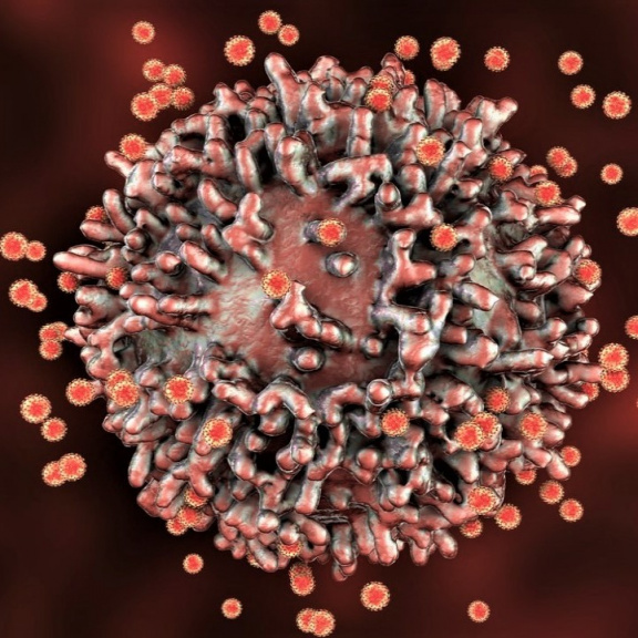 Omikron může obelstít protilátky, T-buňky ho však poznají