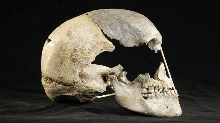 Naši předci se křížili s neandertálci častěji, než se předpokládalo