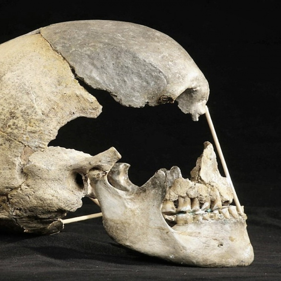 Naši předci se křížili s neandertálci častěji, než se předpokládalo