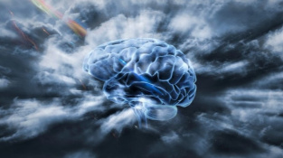 Lidský mozek v cloudu.