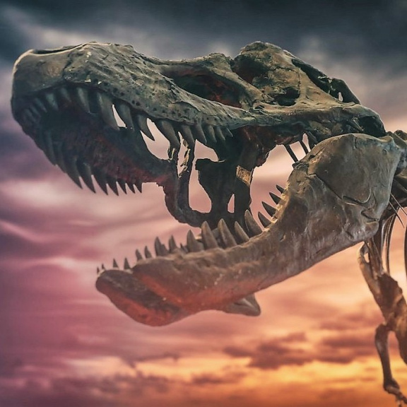 Blíží se šesté masové vymírání. Kdo bude následovat dinosaury?